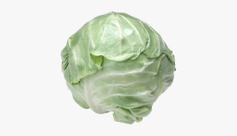 Cabbage Png Image, Download Png Image With Transparent - Cabbage Flower Seeds, Vegetable Seeds - 100 Particles, transparent png download
