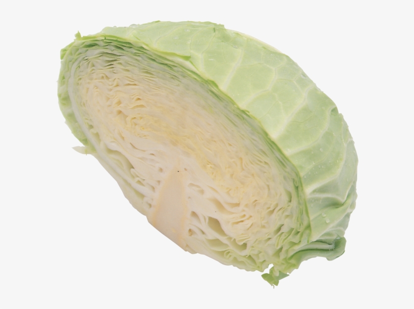 Cabbage Png Image, Download Png Image With Transparent - Cabbage, transparent png download
