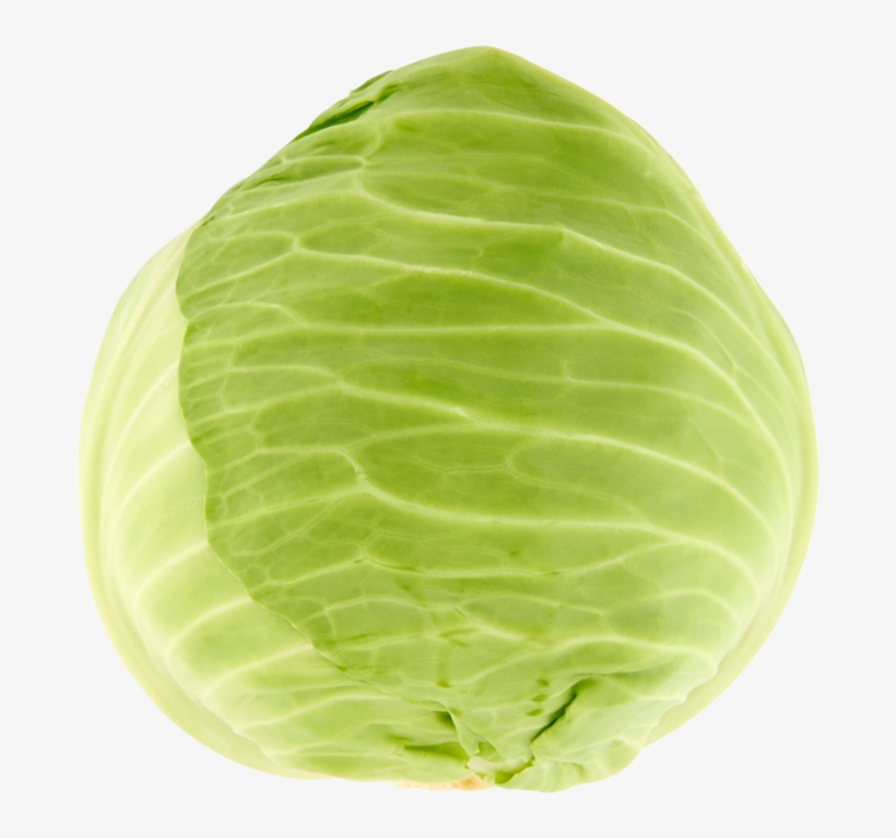 White Cabbage - White Cabbage Png Transparent, transparent png download
