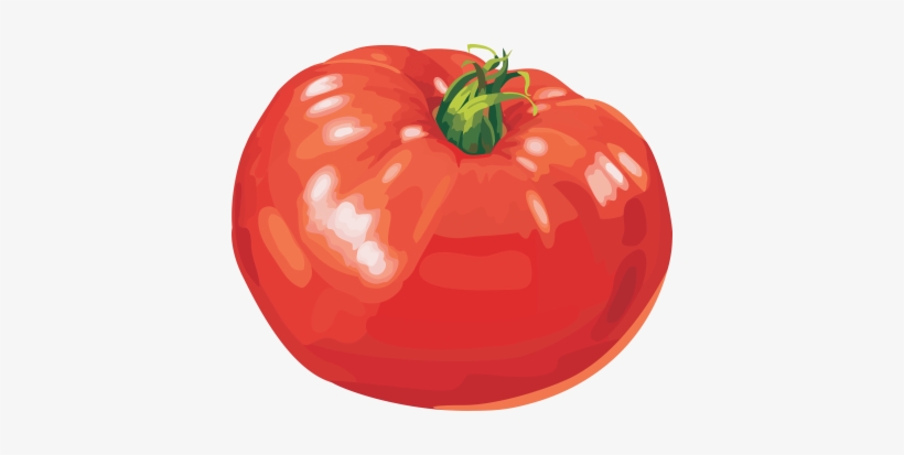 Red Tomatoes - Картинка Нарисованный Помидор, transparent png download
