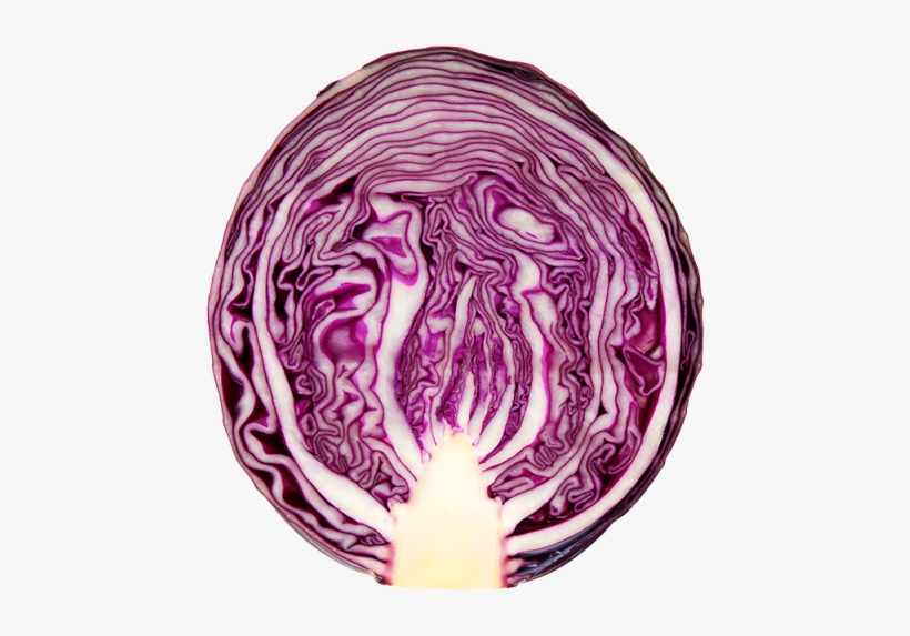 ⅔ Unit - Red Cabbage, transparent png download