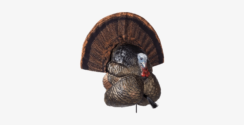 Flextone Thunder Creeper Strutter Decoy, transparent png download