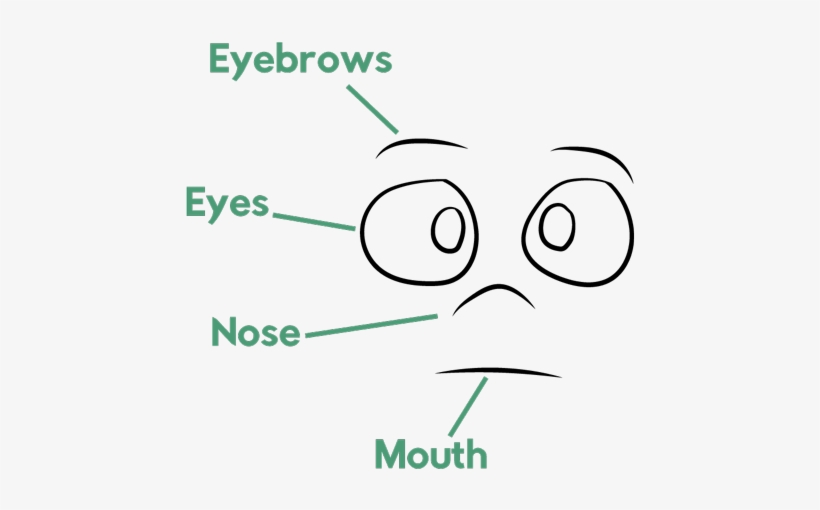And Of Course, The Head Has The Different Elements - Diagram, transparent png download