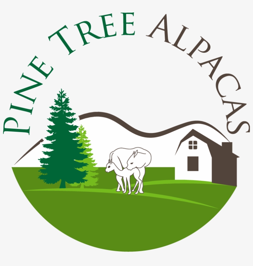 Pine Tree Alpacas, transparent png download