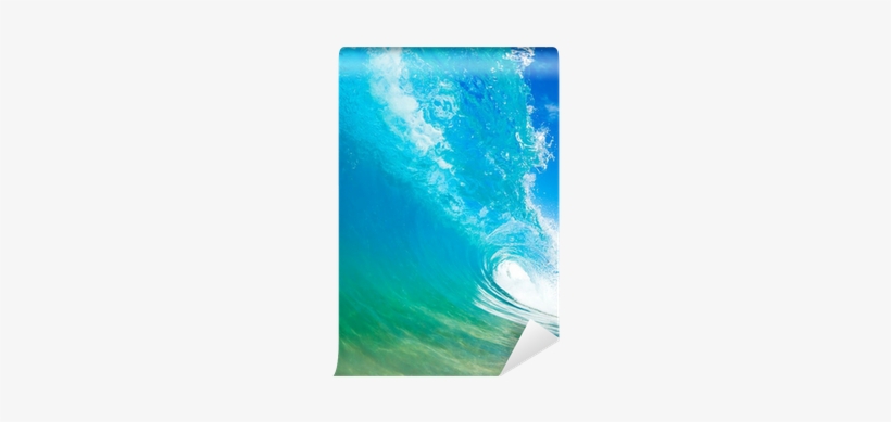Photography, transparent png download