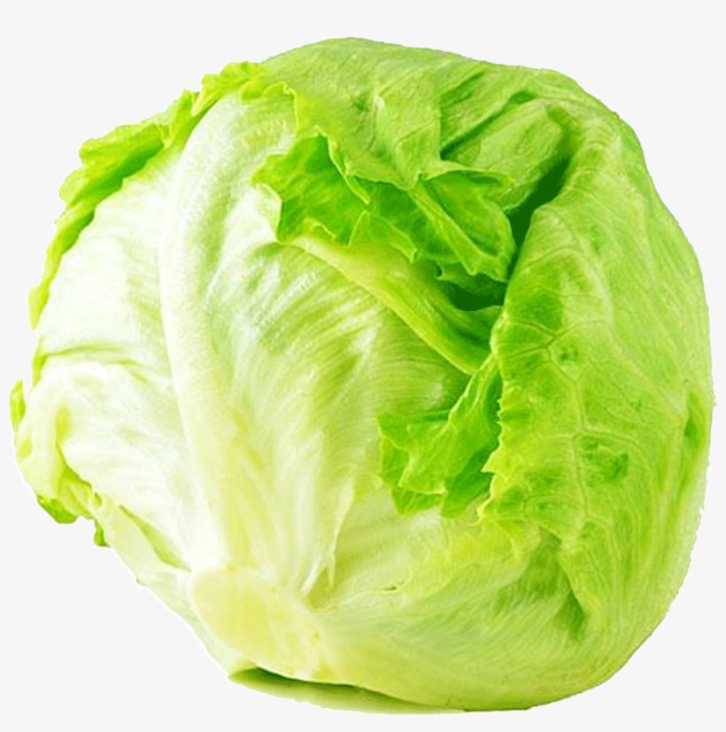 Iceberg Lettuce 1 Kg - Precent Situation Of Vegitable Cultivation In Sri Lanka, transparent png download