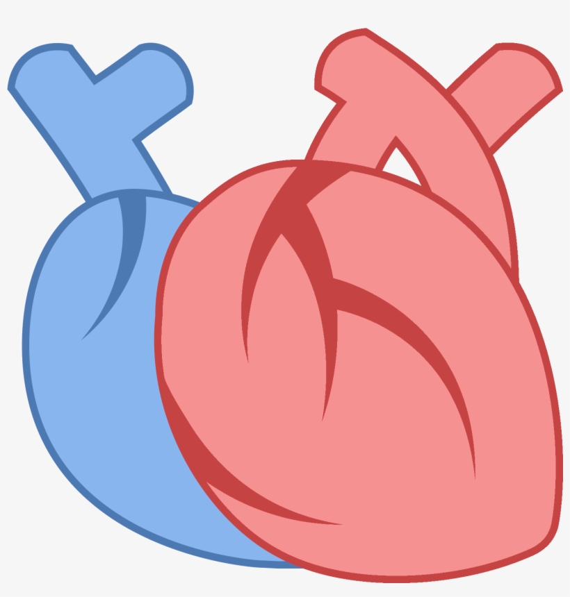 Medical Heart Icon, transparent png download