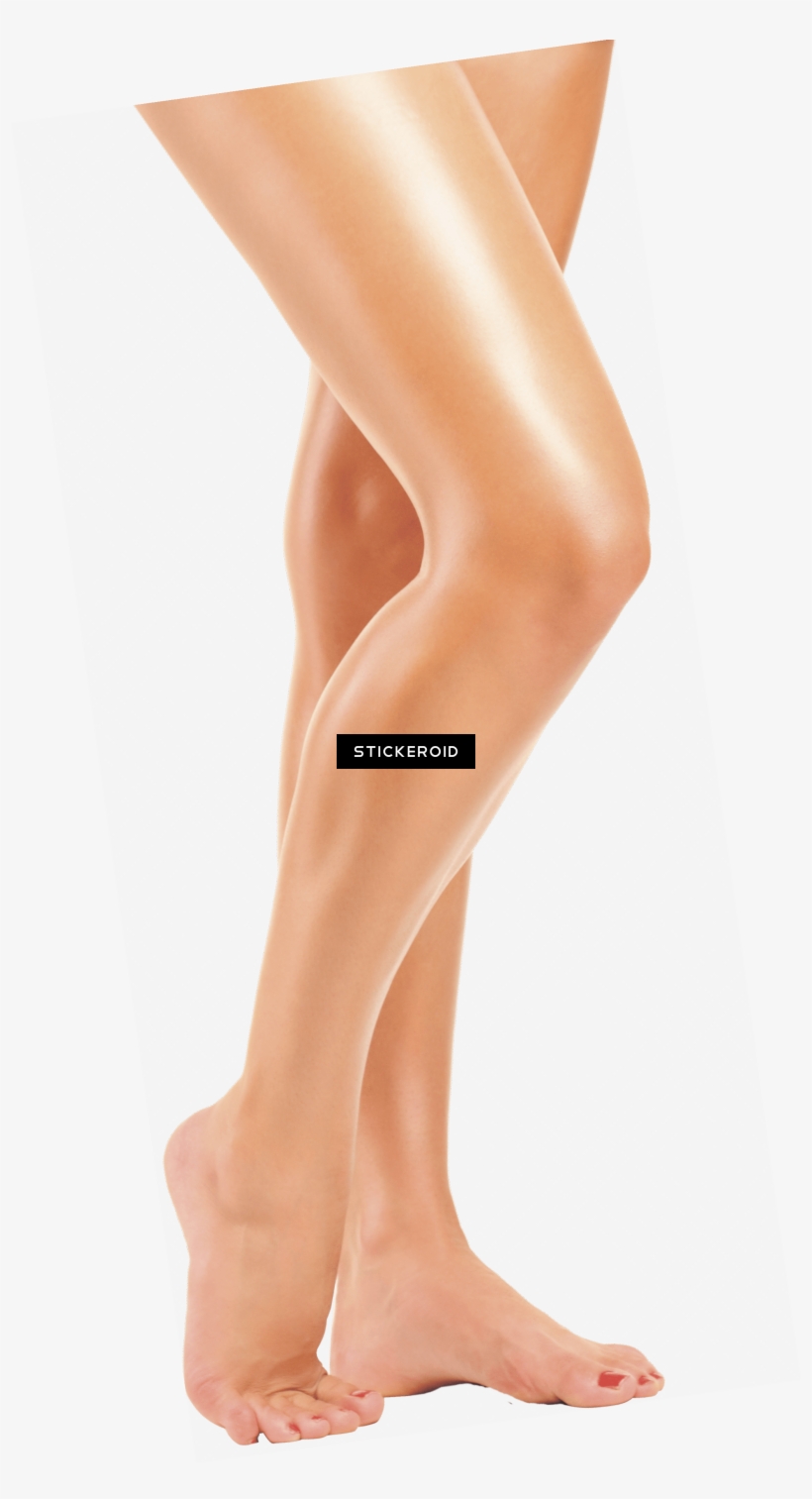 Legs - Legs Png, transparent png download