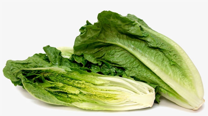 Romaine Lettuce Png Background Image - Cos Or Romaine Lettuce, transparent png download
