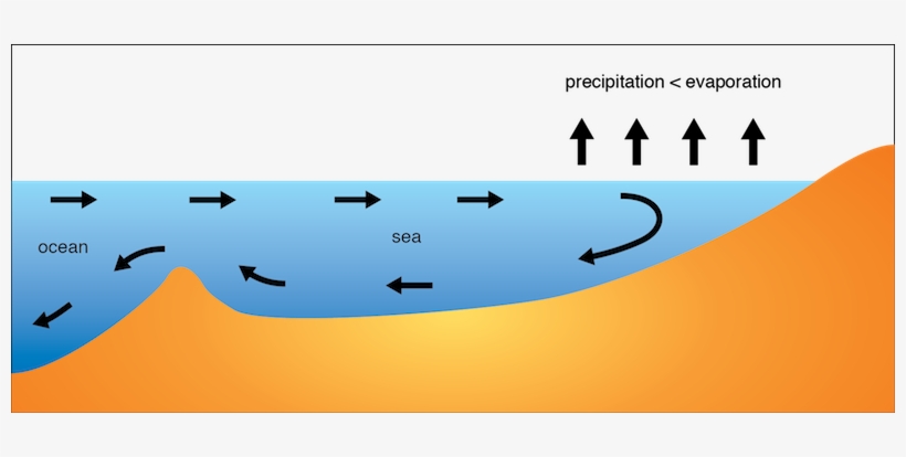 </strong> - Estuary Water Flow, transparent png download