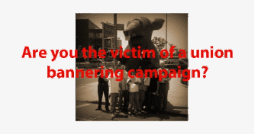 Alpine Greed Response - Greed, transparent png download