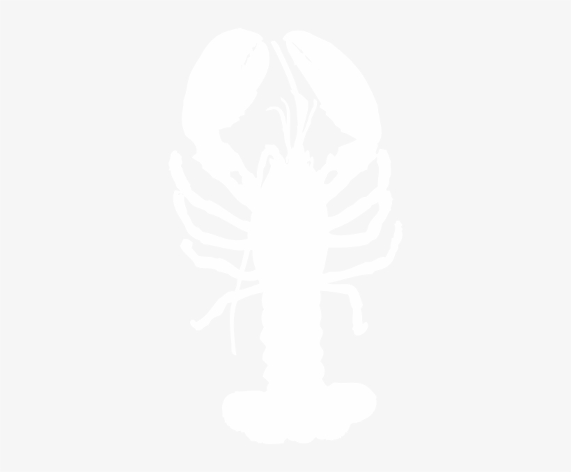 Small - White Lobster Clip Art, transparent png download