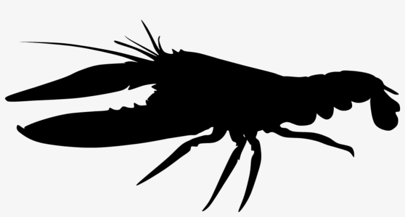 Maine Lobster Clipart Panda - Black, transparent png download