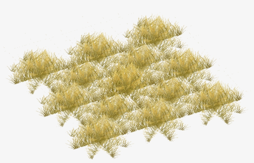 Savannah Grass Short - Pond Pine, transparent png download