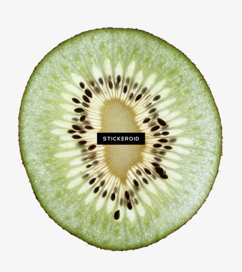 Kiwi Fruit Kiwi S, transparent png download