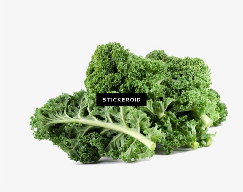 Kale Food Plant - Food Kale, transparent png download