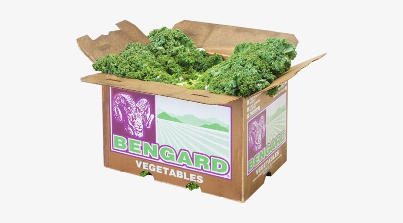 Green Kale One Dozen - Moss, transparent png download