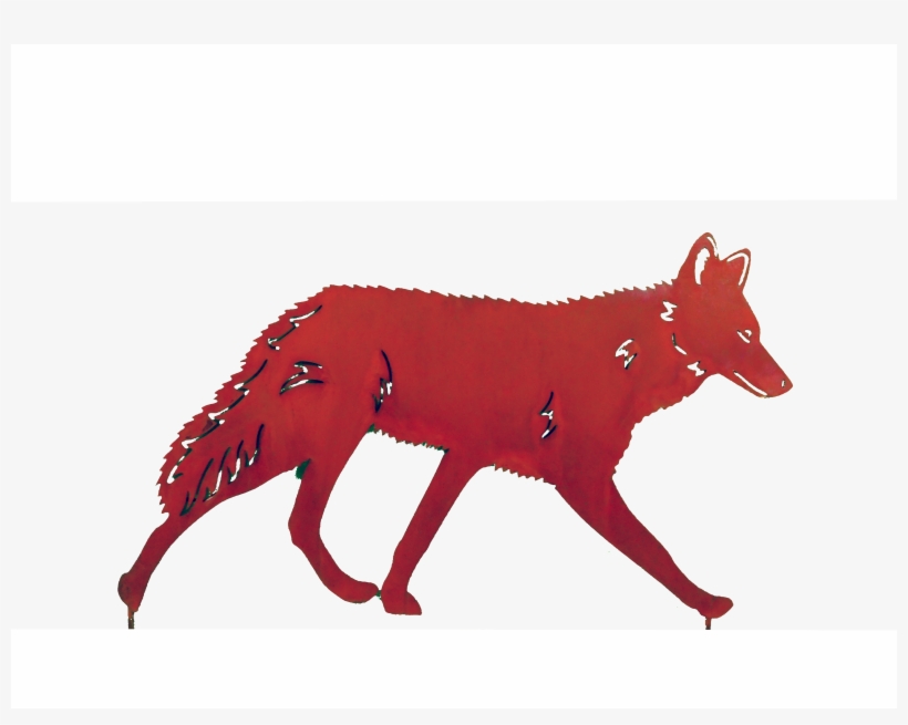 Coyote Larger Image - Red Fox, transparent png download