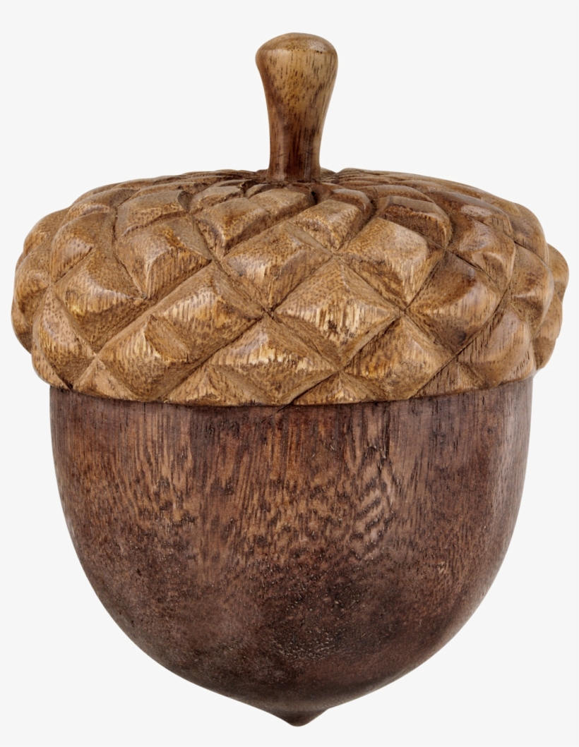 Acorn Png Free Download - Wooden Acorn, transparent png download