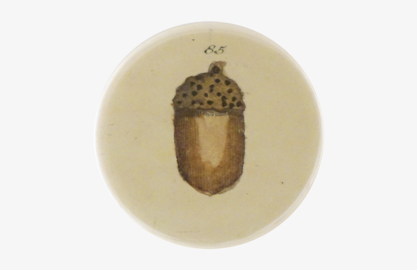 Collection Name - Earthenware, transparent png download