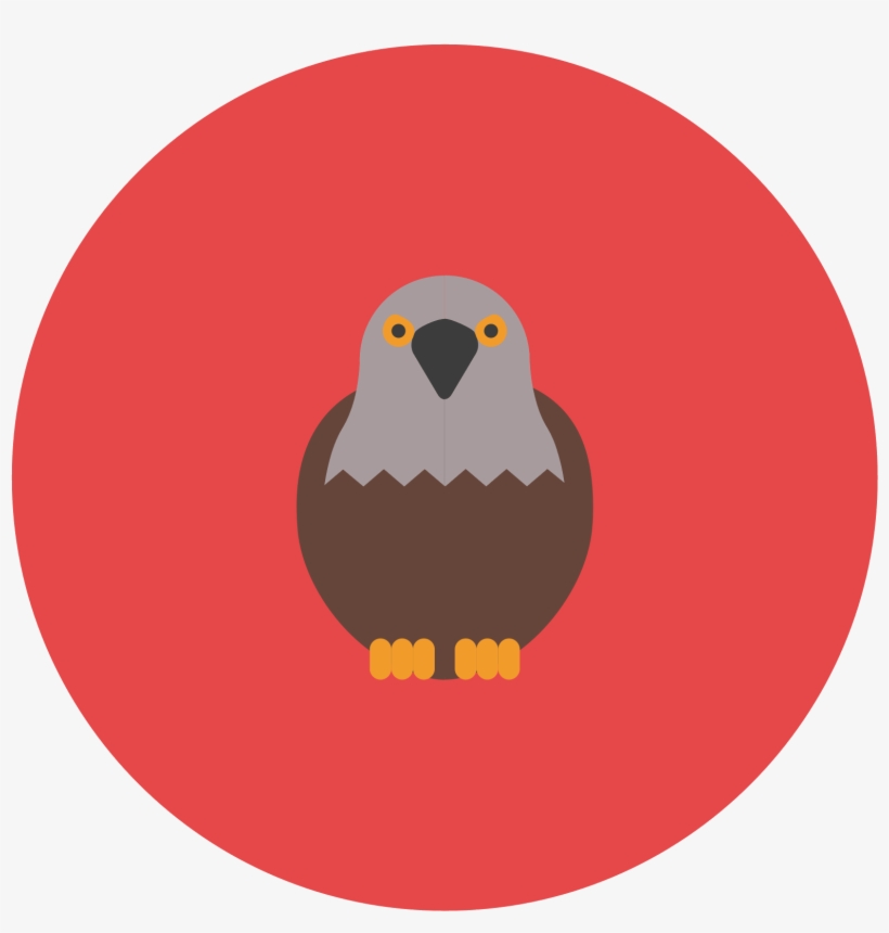 This Icon Represents A Falcon - Wild Boar, transparent png download
