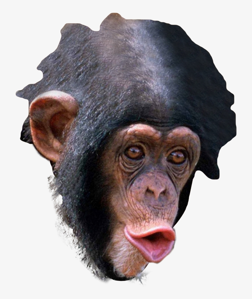 New Trihard Emote - Trihard Emote, transparent png download