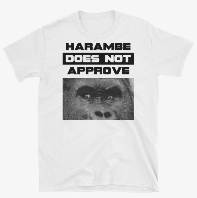 "harambe Does Not Approve" T Shirt - T-shirt, transparent png download