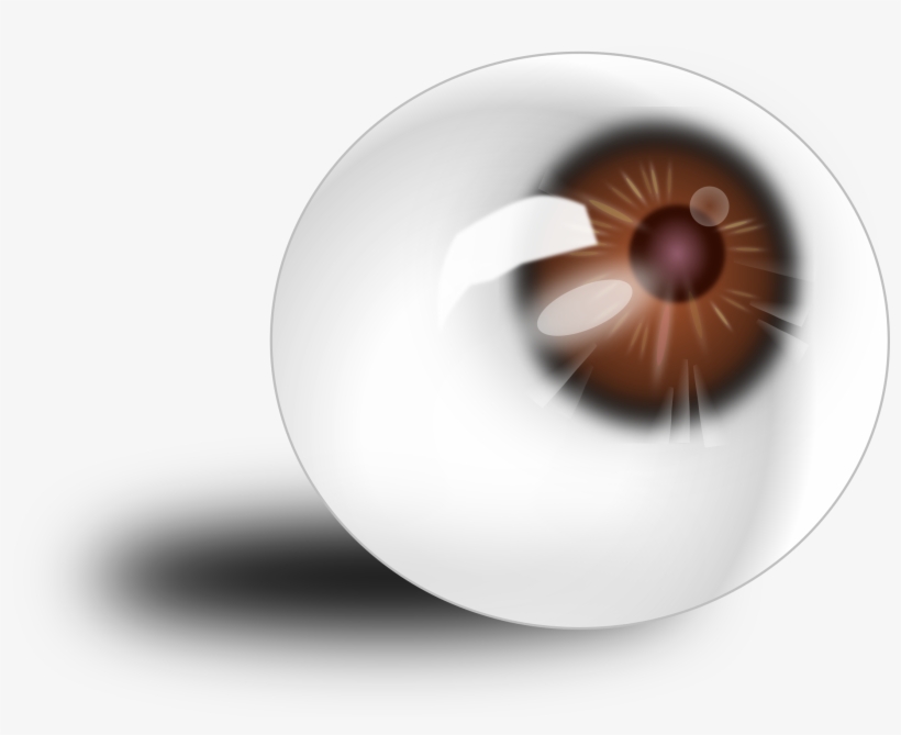 This Free Icons Png Design Of Eyeball Brown - Brown Eye Anatomy, transparent png download