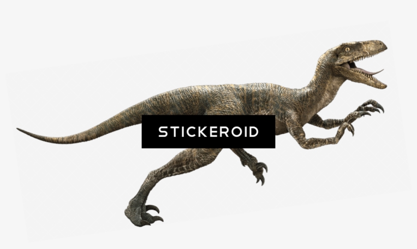 Velociraptor Hd Animals Dinosaur Reptile - Jurassic World Velociraptor Png, transparent png download