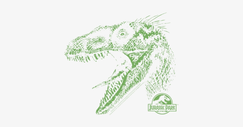 Jurassic Park Raptor Mount Women's T-shirt - Movie - Jurassic Park 15th Anniversary Dvd Box [limited, transparent png download