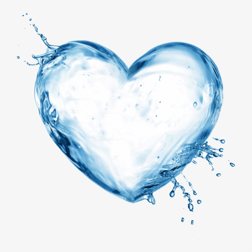 Agua Corazon - Weiqin 3821 Fashionable Aestheticism Carving Flower, transparent png download