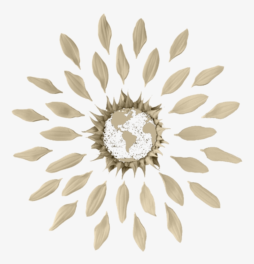 Chenille Kraft Peacock Feathers, transparent png download