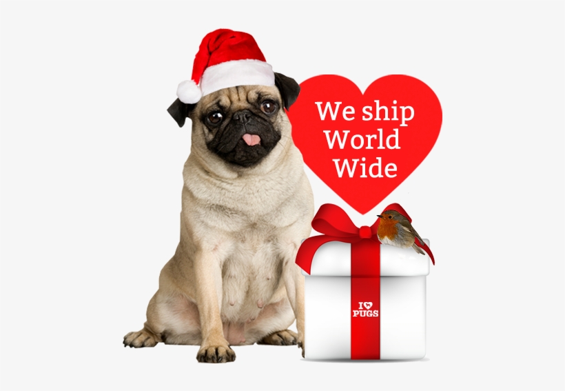 I Love Pugs - Petflex No Chew Bandage - 2“ X 5 Yard Roll, transparent png download