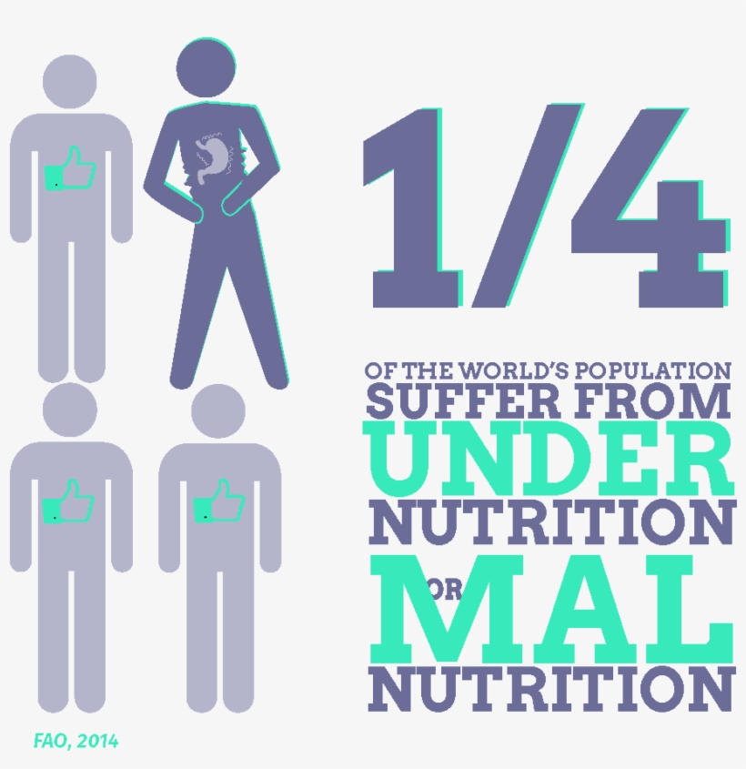Dataviz Alimentaire English 02 - Graphic Design, transparent png download