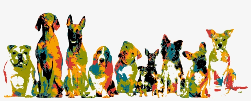 Dedicated To Helping Each Dog Find - Dog Training: All In One Startup Guide, transparent png download