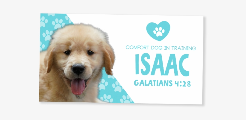 Dog, transparent png download