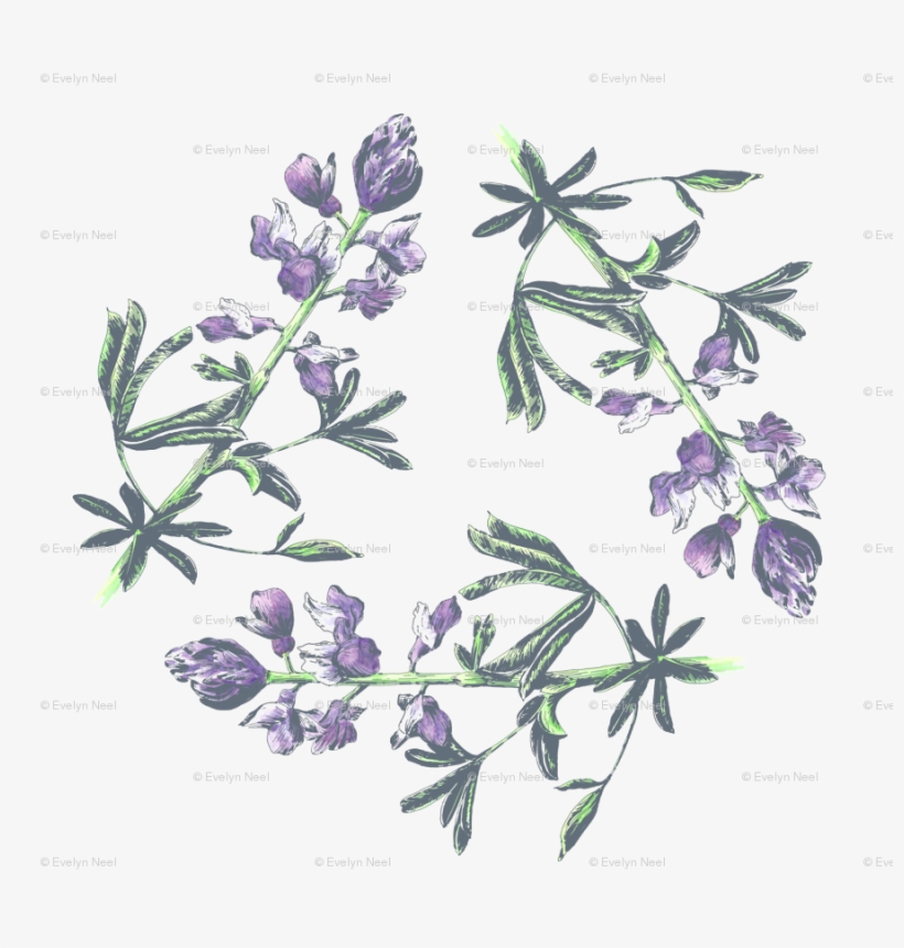 Lupine Triangle On White Small Print Wallpaper - Perforate St John's Wort, transparent png download