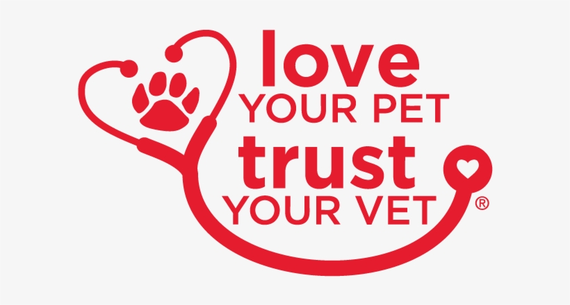 Why We Care, transparent png download