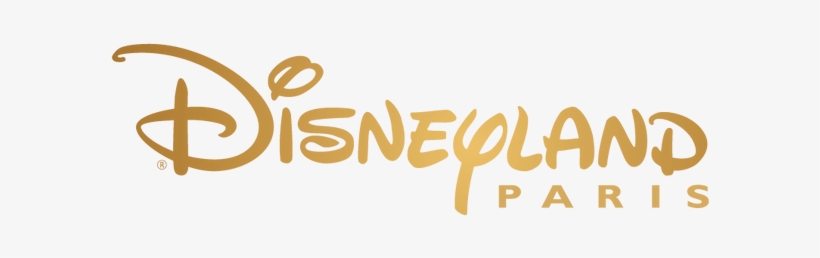 Report Presentation Of The Programme Of Rehabilitation - Disneyland Paris 2017/8 [book], transparent png download