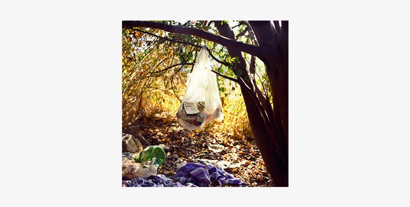 Read - Landscapes For The Homeless, transparent png download