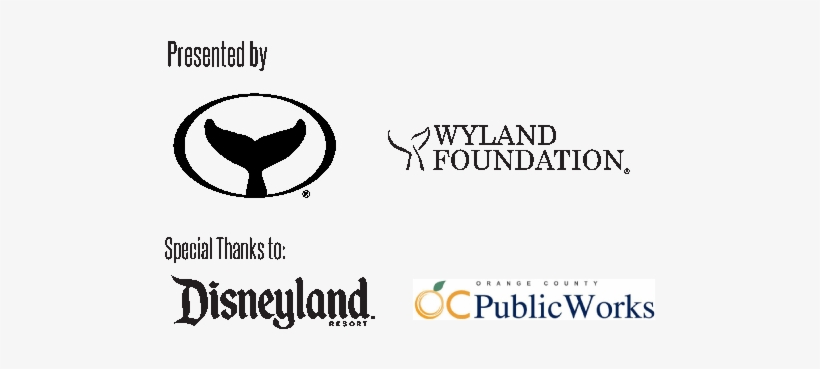 See Official Rules - Birnbaum's 2015 Disneyland Resort: The Official Guide, transparent png download