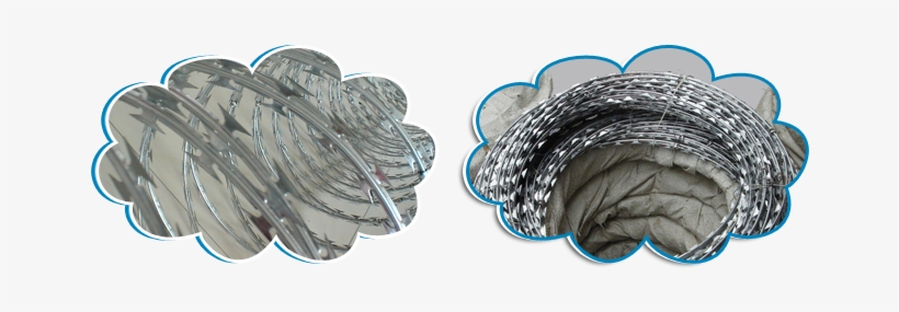 Razor Wire Fencing Manufacturers - Barbed Tape, transparent png download