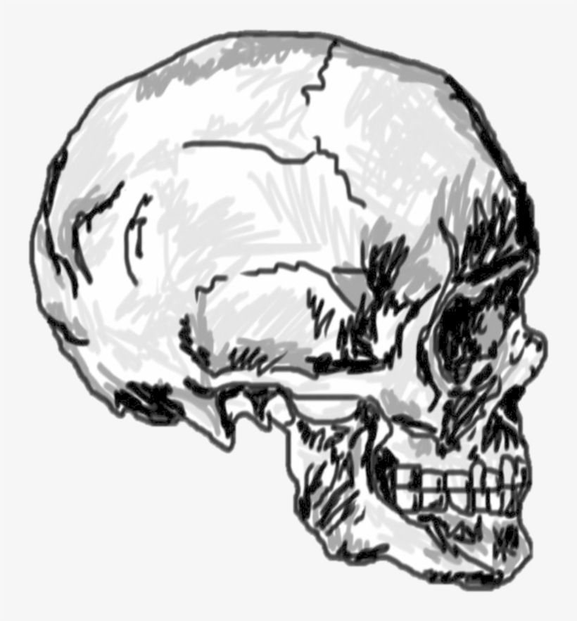 Transparent Skull By Acidic - Skull, transparent png download
