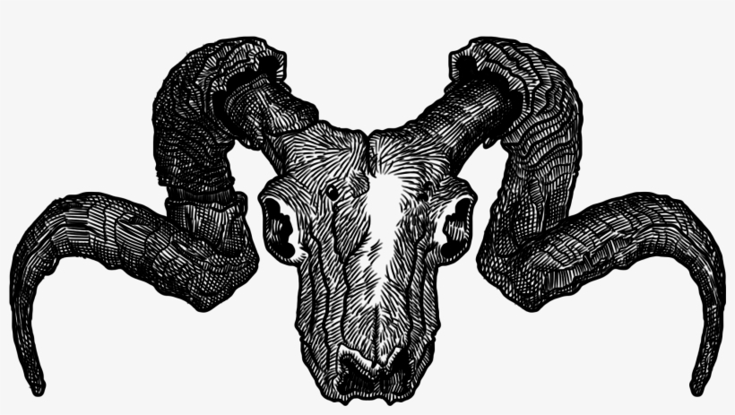 Skull Png, transparent png download