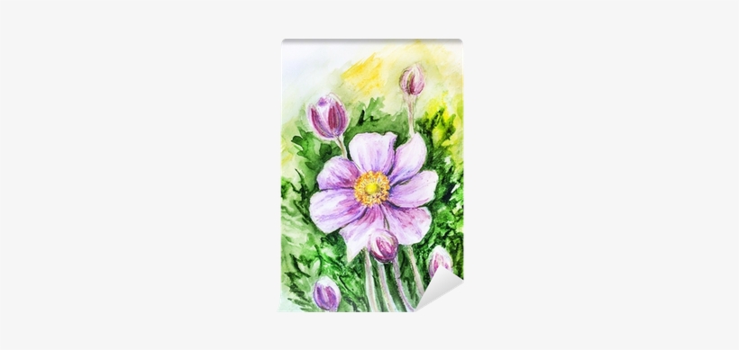 Japanese Anemones Flower - Photography, transparent png download