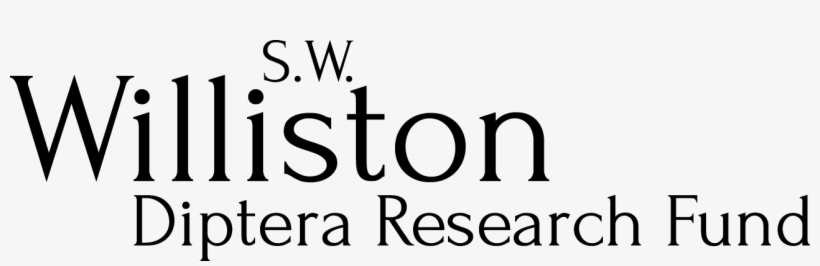 Williston Logo Large - Williston, transparent png download