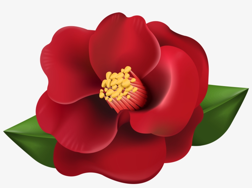 Red Flower Transparent Image - Red Flower Transparent, transparent png download