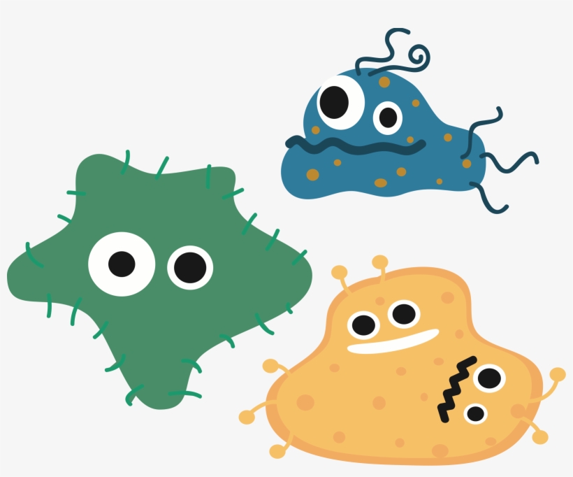 Bacteria Free Png Image - Bacteria Png, transparent png download
