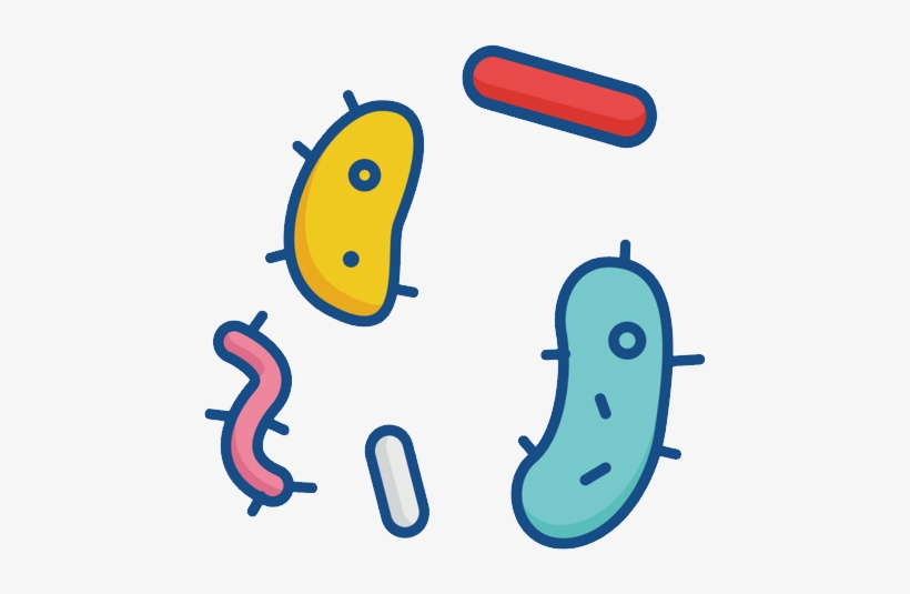 Transparent Bacteria Clip Art Transparent PNG - 452x455 - Free Download