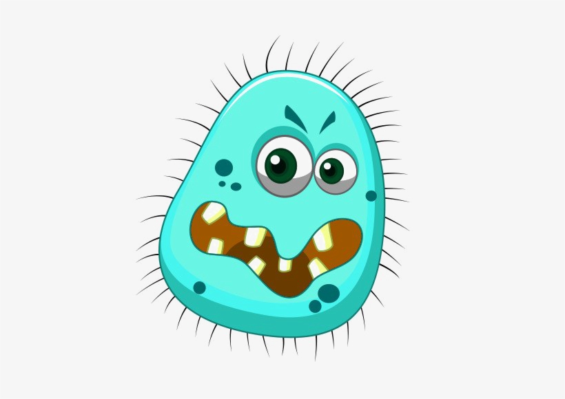 Bacteria Png Photos - Bacteria Png, transparent png download